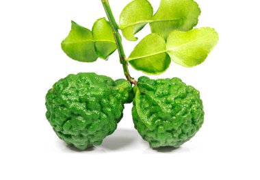Beyaz arka planda izole edilmiş taze bergamot ya da kaffir limon meyvesi.