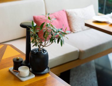 Rahatlamak için sırt yastıklı koltuklar.