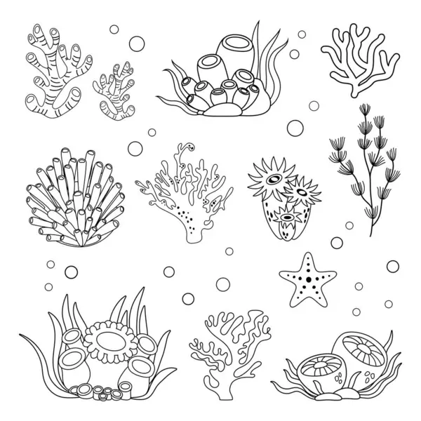 Морський Набір Водорості Корали Простому Лінійному Стилі Чорно Біла Графіка — стоковий вектор