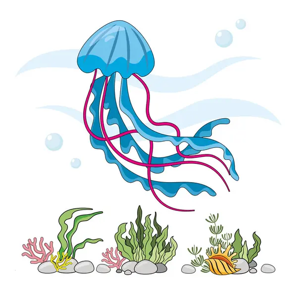 Медузи Ізольовані Блакитні Медузи Білому Тлі Морське Дно Кольорова Ілюстрація — стоковий вектор