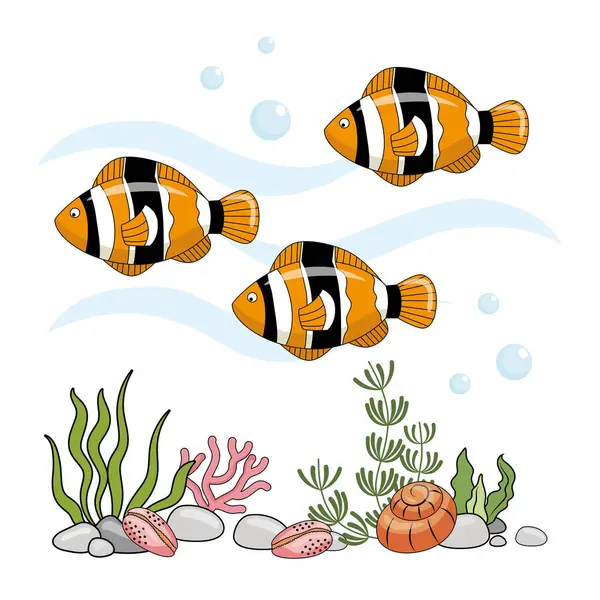 Барвисті Морські Риби Рибні Риби Клоунні Риби Або Анемона Риби — стоковий вектор
