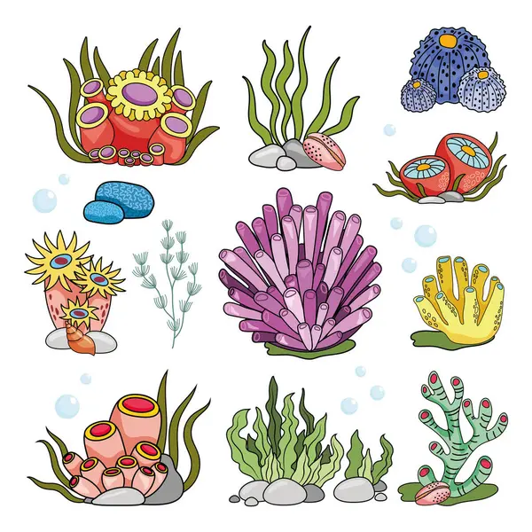 Marine Set Anemonen Algen Und Korallen Einem Einfachen Cartoon Stil — Stockvektor
