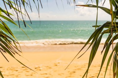 Arka plan Naiyang plajı, rahat gözler, güneşlenme, Phuket Ulusal Parkı, Phuket, Tayland 'a odaklan..