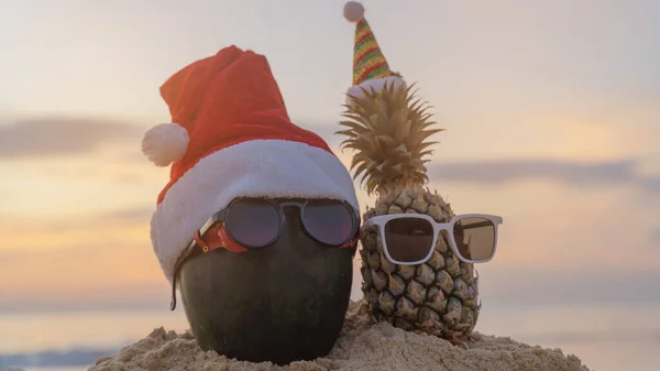 Arbuz Wakacje Okularach Kapelusz Santa Claus Ananas Concept Christmas Plaży — Zdjęcie stockowe