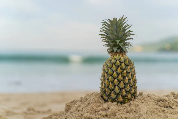 Fruit Man Gemaakt Van Ananas Het Strand Fruit Toerisme Voor — Stockfoto