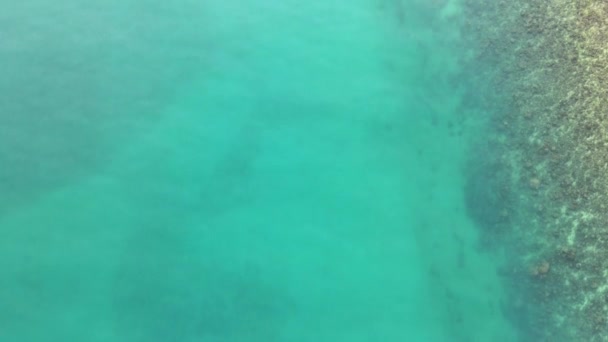 Alto Ángulo Tiro Vista Naturaleza Por Encima Isla Vista Despejada — Vídeos de Stock
