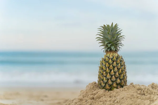 Fruit Man Gemaakt Van Ananas Het Strand Fruit Toerisme Voor — Stockfoto