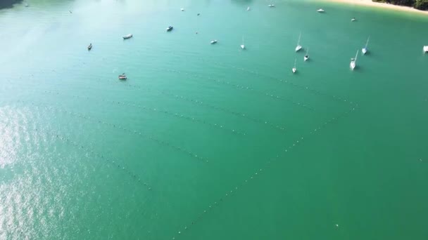 Drone Sta Sorvolando Costa Tropicale Del Mare Verdi Colline Calcaree — Video Stock