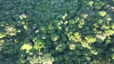 Freedom Beach, Kathu Patong, Phuket, Tayland, sabah 7 'de sabah güneşi, güzel berrak ışık, cennet adası, doğa, gözler kolay, yumuşak güneş ışığı, yüksek açılı drone..