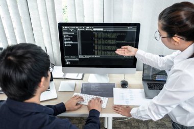 Yazılım geliştirme ve kodlama ve veri kodu şifre güvenliği konusunda çalışan iki profesyonel programcıdan oluşan bir ekip..