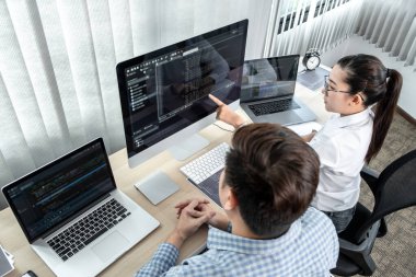 Yazılım geliştirme ve kodlama ve veri kodu şifre güvenliği konusunda çalışan iki profesyonel programcıdan oluşan bir ekip..