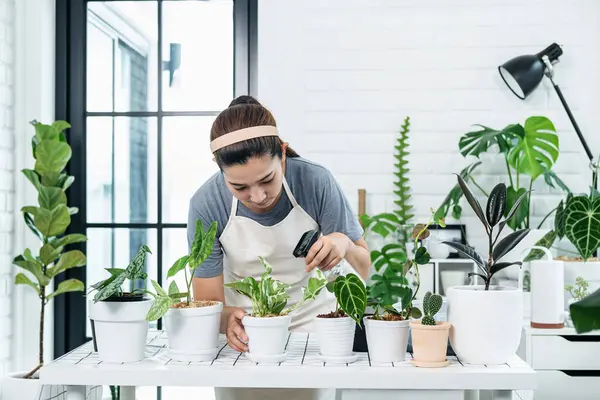 stock image Asian woman gardener is taking care of plants and using spray bottle watering plants in the room at home while hobby activity, Concept of home garden