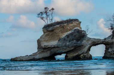 A karst hill with a tree on top and a hole or gate in the beach formed by waves in sumba, indonesia clipart