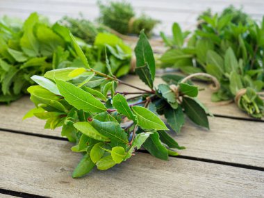 Tahta masadaki taze organik defne yaprakları. Seçici odak.