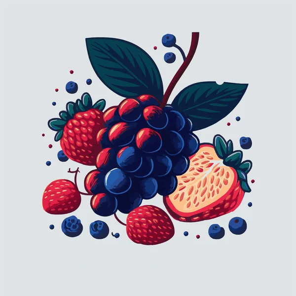 贝瑞彩色手绘向量集 水果植物学图解 Berries矢量平面色彩风格 黑醋栗 覆盆子 — 图库矢量图片