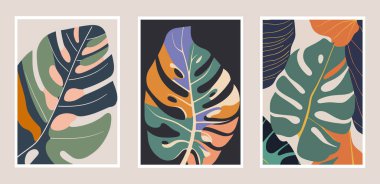 Set of trendy minimal posters with monstera leaves. Vector illustration. wall art print poster clipart