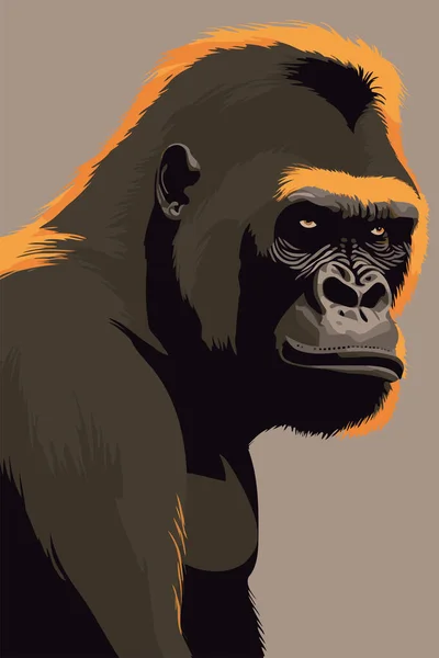 Gorilla Portrait Vector Illustration Your Design Wild Animal Poster — Stock Vector