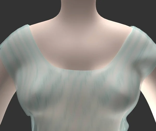女性の透明なTシャツの服の3Dイラスト グレーの背景に隔離された クローズアップ モックアップ フロントビュー ロイヤリティフリーのストック写真