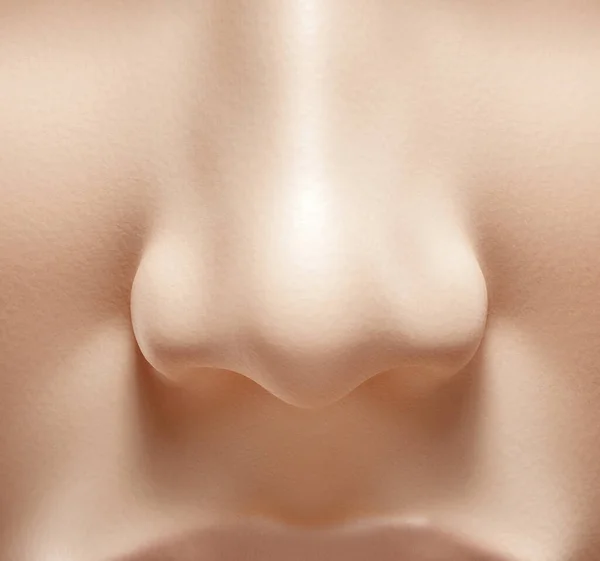 Vykreslování Ilustrace Lidského Nosu Makro Zblízka Pohled Zepředu — Stock fotografie