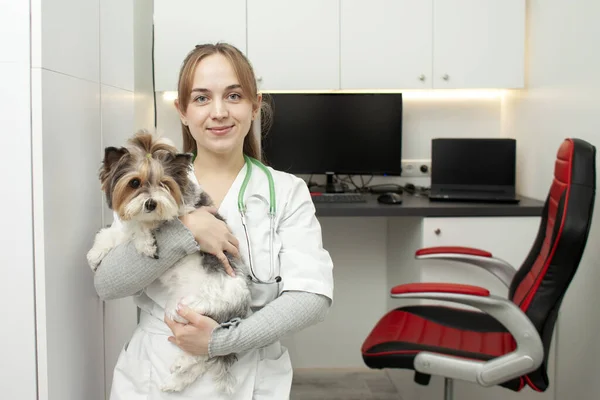 girl veterinarian holds a dog in her arms and smiles in a veterinary clinic, a woman doctor with a beaver york in uniform against the background of the workplace
