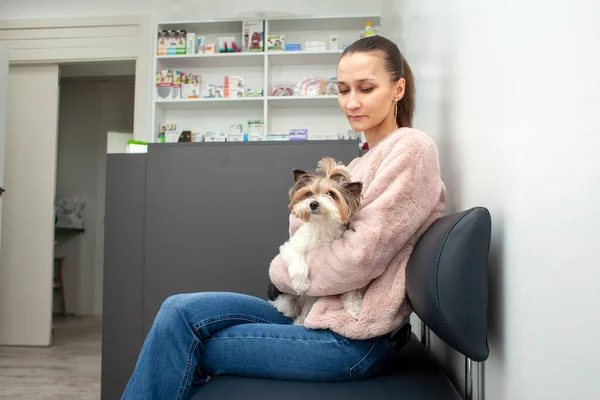 woman with a dog of the Biewer York breed sits in a veterinary clinic and waits, a girl holds a dog in her arms and sits on a sofa in the corridor