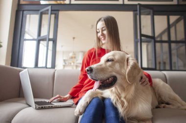 young girl is sitting on the couch with a golden retriever dog and using laptop, freelancer woman is working at home at computer with pet