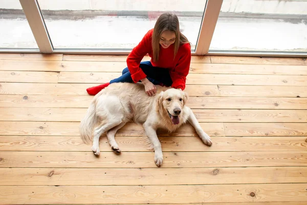 young girl plays with a dog breed golden retriever at home on the floor, a woman with a pet together lies on a wooden floor near the window