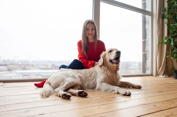 Young Girl Plays Dog Breed Golden Retriever Home Floor Woman — 스톡 사진