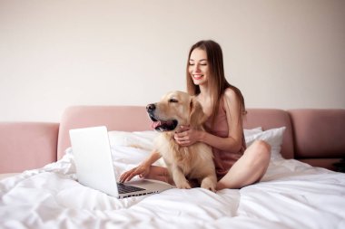 young girl lies on bed with golden retriever dog and uses laptop, female freelancer with pet looks at the computer