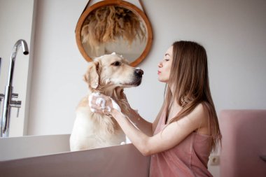 Banyoda genç bir kadın köpeği yıkıyor ve yün için şampuan sürüyor. Kız Golden Retriever 'ı yıkıyor ve köpükle ovuyor.