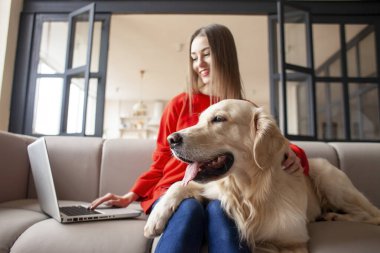 Genç kız kanepede köpekle oturuyor ve evinde dizüstü bilgisayar kullanıyor. Golden Retriever köpeği olan kadın bilgisayara bakıyor ve gülümsüyor.