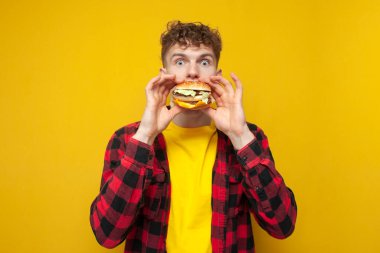 young curly guy student eats a burger on a yellow background, a man with fast food