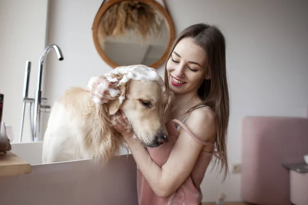 浴室の若い女性は犬を洗浄し ウールのためのシャンプーを適用します 女の子は黄金の回収を入浴し 泡でそれをこすります — ストック写真