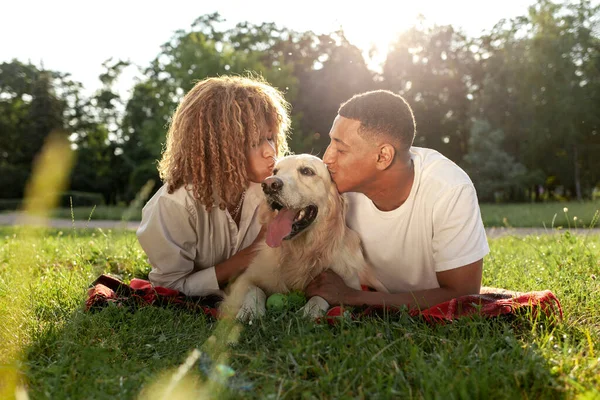 데리고 아프리카 미국인 부부는 풀밭에 곱슬머리의 여자와 남자가 키스하고 리트리버를 — 스톡 사진