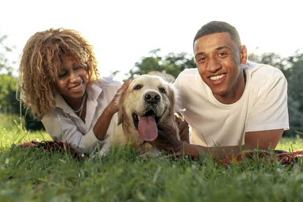 stock image young african american couple with dog lie in park on green grass, curly woman and young man together with golden retriever, young happy family with pet in nature