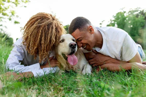 아프리카 미국인 커플은 여름에 공원에서 남자와 여자는 포옹하고 리트리버를 사랑하고 — 스톡 사진