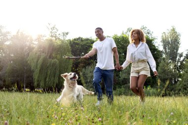 Afro-Amerikan mutlu çifti yazın parkta köpeklerle yürür ve birlikte koşarlar, erkek ve kadın aktif olarak Golden retriever ile oynarlar ve ona doğada, özgürlükte ve evcil hayvanlarda sopa atarlar.