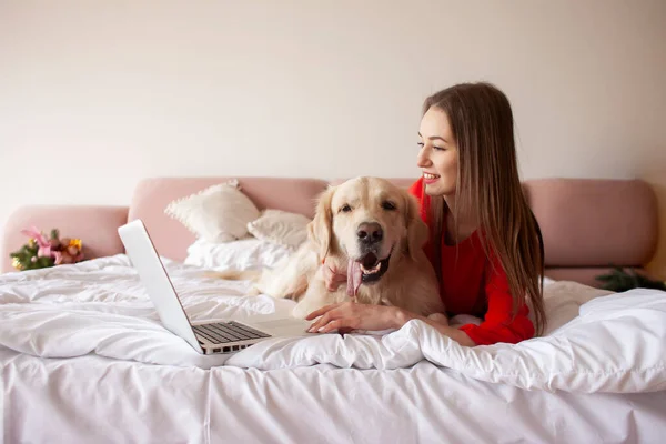 Jovem Jaz Cama Com Cão Golden Retriever Usa Laptop Mulher — Fotografia de Stock