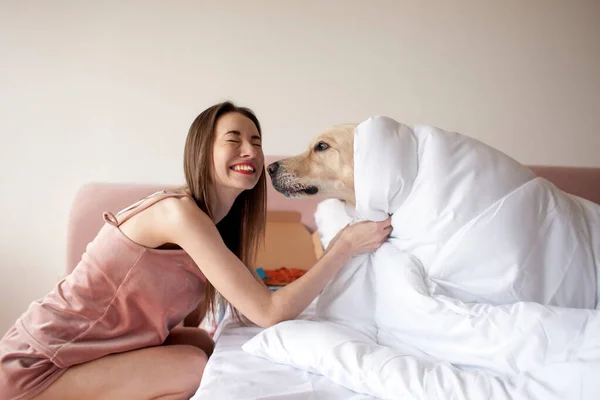 若い女の子はベッドに横たわって黄金の検索犬を抱擁し 犬は所有者をなめる 女性はペットを愛しています — ストック写真