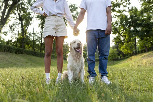 Junges Afrikanisch Amerikanisches Paar Steht Mit Hund Und Händchen Park — Stockfoto