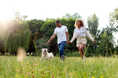 Afro-Amerikan mutlu çifti yazın parkta köpeklerle yürür ve birlikte koşarlar, erkek ve kadın aktif olarak Golden retriever ile oynarlar ve ona doğada, özgürlükte ve evcil hayvanlarda sopa atarlar.