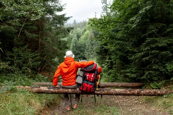 Turista Masculino Com Mochila Equipamento Caminhadas Senta Descansando Floresta Cara — Fotografia de Stock