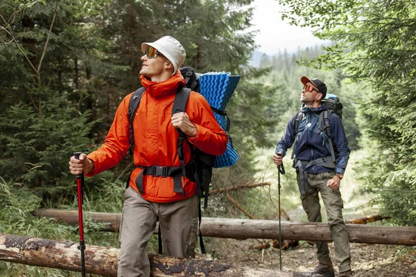 两个带着背包和远足装备的男性游客正在森林里散步 人们带着远足杆登山 — 图库照片