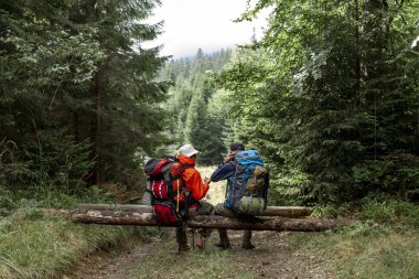 Sırt çantalı ve yürüyüş ekipmanlı iki erkek turist ormanda oturur ve dinlenir, insanlar mola sırasında dağ yürüyüşünde konuşurlar.