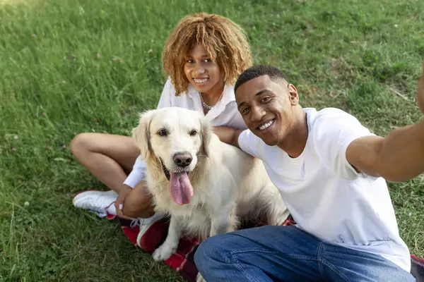 african american young couple sit in park together with dog and take selfie, man and woman with golden retriever communicate via video call in nature, happy family with pet