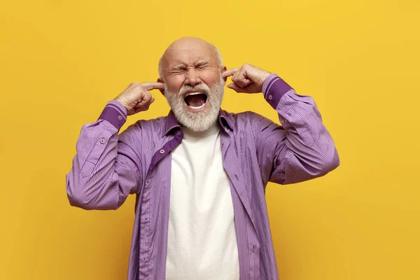 angry old bald grandfather in purple shirt covers his ears with his hands and screams on yellow isolated background, elderly pensioner in stress ignores and avoids sounds