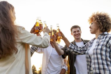 Partide bira şişelerini tokuşturan bir grup çok ırklı arkadaş. Irklar arası kadınlar ve erkekler gün batımında parkta içki içip eğleniyorlar.