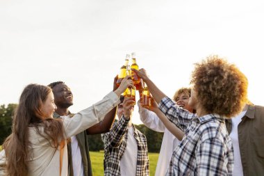 Partide bira şişelerini tokuşturan bir grup çok ırklı arkadaş. Irklar arası kadınlar ve erkekler gün batımında parkta içki içip eğleniyorlar.