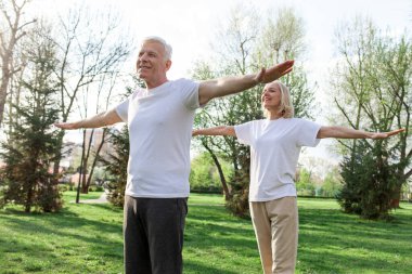Yaşlı bir çift yaşlı erkek ve kadın parkta egzersiz yapıyor ve antrenman yapıyor, kır saçlı büyükanne ve büyükbaba spor yapıyor ve doğada aktif bir yaşam sürüyor.