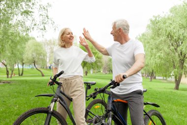 Yaşlı yaşlı çift yazın parkta bisiklete biniyor ve beşlik çakıyor, yaşlı beyaz saçlı adam ve kadın açık havada dinleniyor, yaşlı insanlar bisiklet sürme pratiği yapıyor ve başarıya seviniyorlar.
